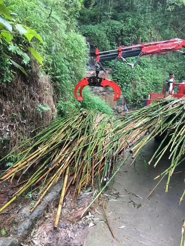 折臂式抓木机功能简述及技术分析