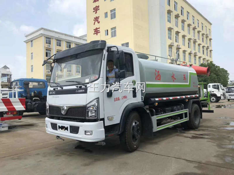 大福瑞卡8方洒水雾炮车图片