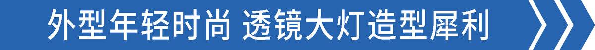 高顶双卧大货厢 大黄蜂Plus拉快递很强