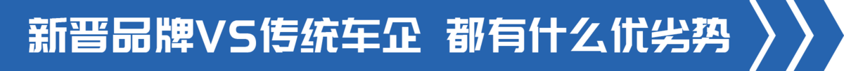 新手购车遇难题 传统车企/新势力该选谁